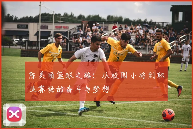 陈美丽篮球之路：从校园小将到职业赛场的奋斗与梦想