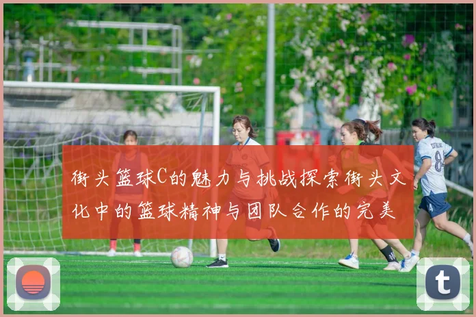 街头篮球C的魅力与挑战探索街头文化中的篮球精神与团队合作的完美结合