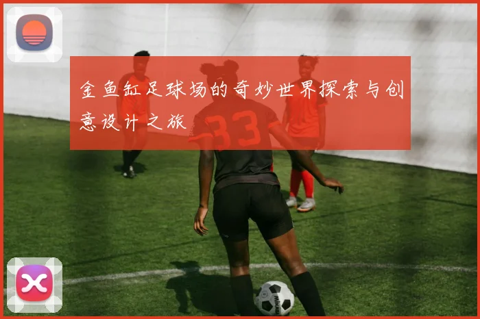 金鱼缸足球场的奇妙世界探索与创意设计之旅